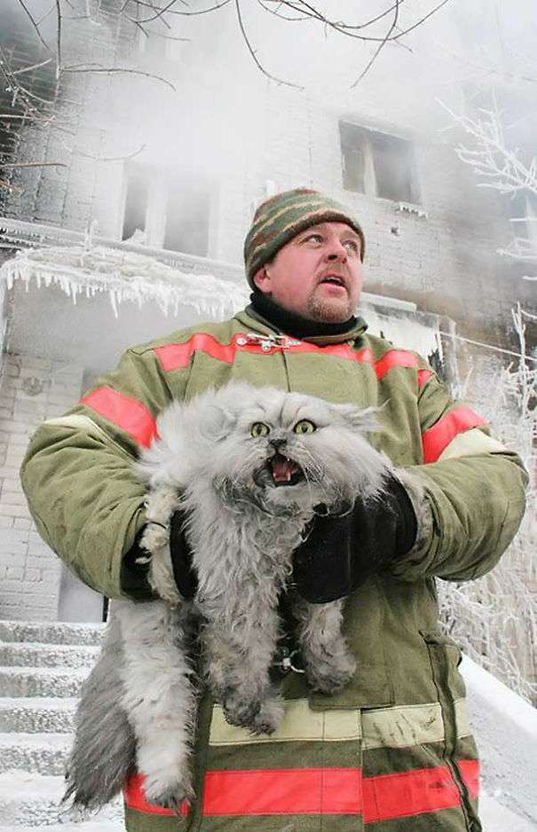 A Russian firefighter saving a cat