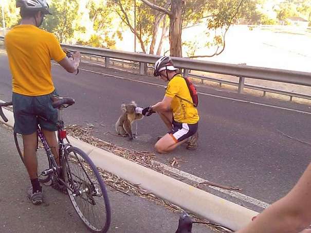 A cyclist stops to give water to a cola