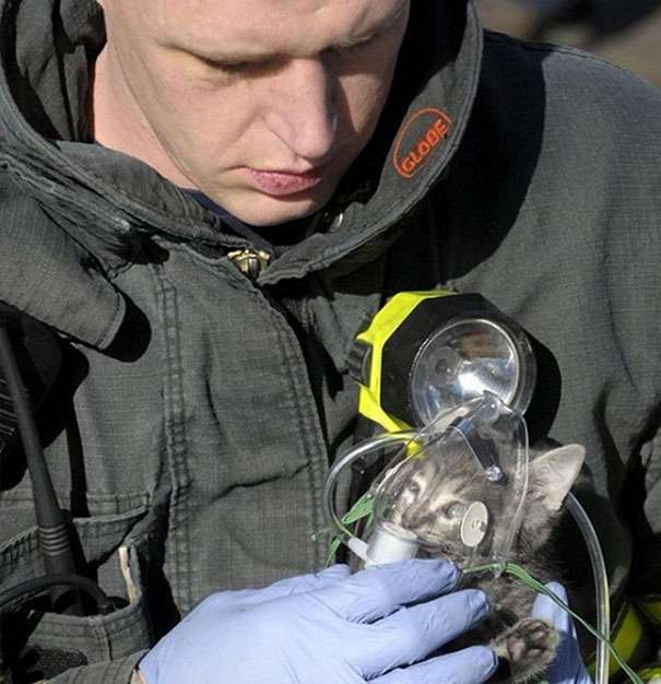 A firefighter administers oxygen to a rescued cat