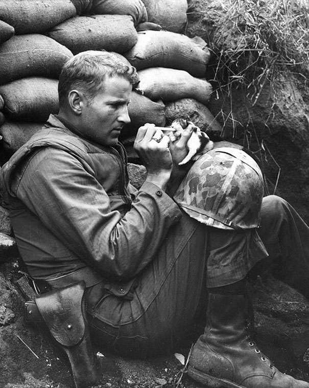 A soldier rescuing a kitten in Korea