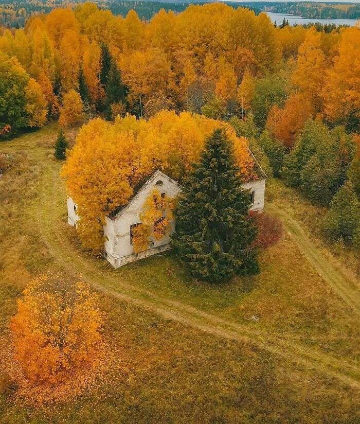 Abandoned house in Karelia, Russia