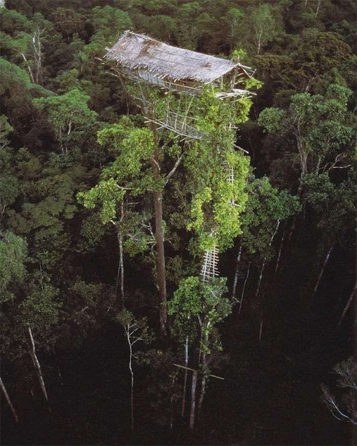 Traditional house and architecture in Papua Ne