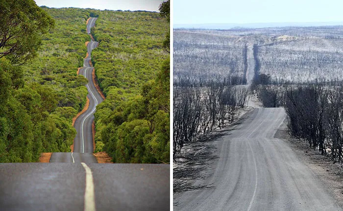 Kangaroo Island