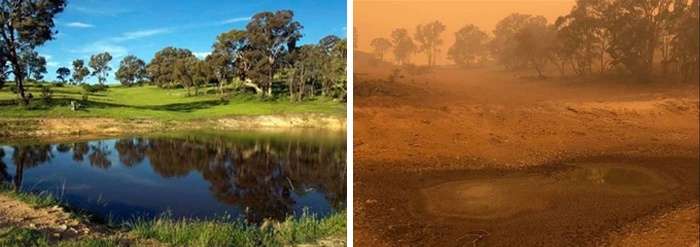 Wildlife Sanctuary, Canberra