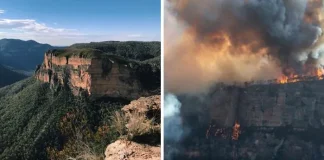 Australia-Before-And-After-The-Bushfire20