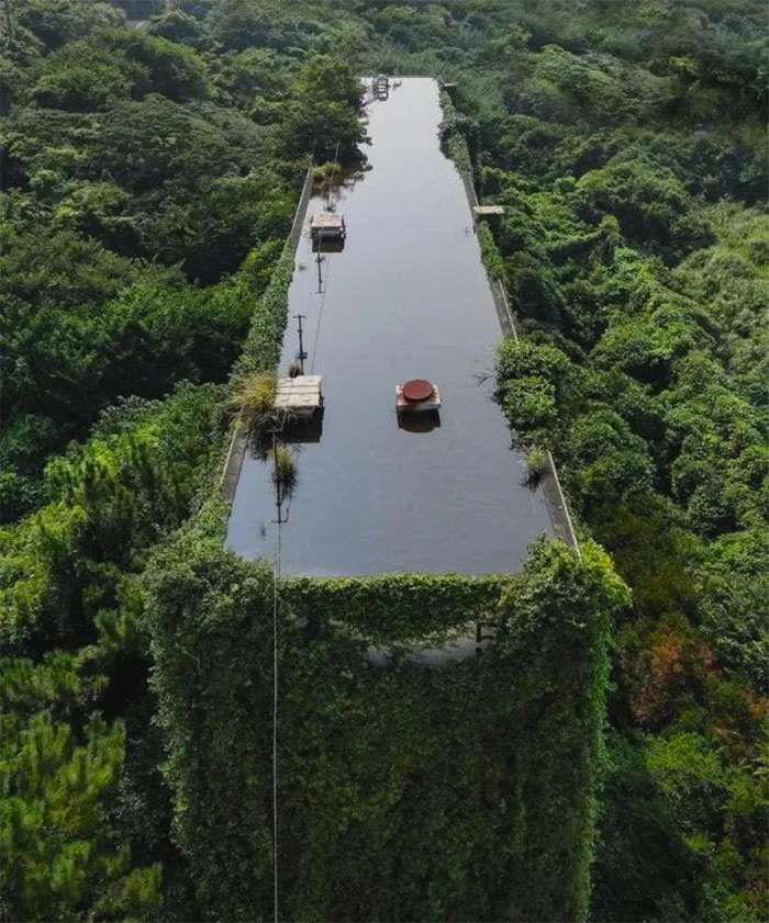 Alt: Overgrown made this abandoned industrial building into a green palace 