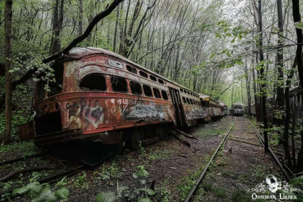 Abandoned trolley car graveyard in the US