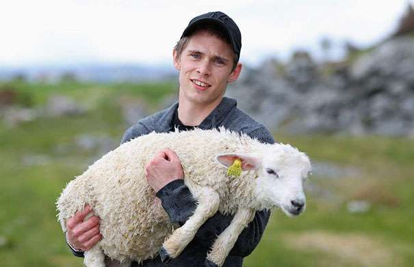 Two Norweigian guys rescue drowning lamb in the ocean