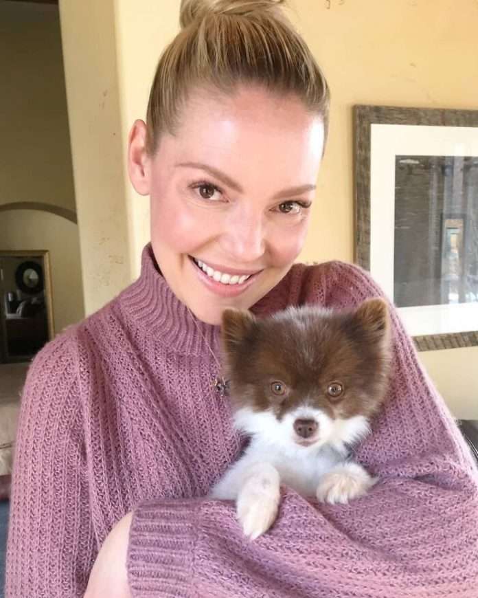 30-celebrities-who-have-enormous-love-for-dogs