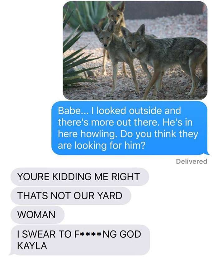 kayla coyote