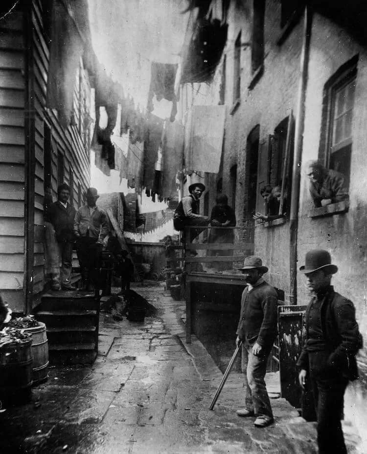 how the other half lives,jacob riis how the other half lives,how the other half lives summary,in how the other half lives