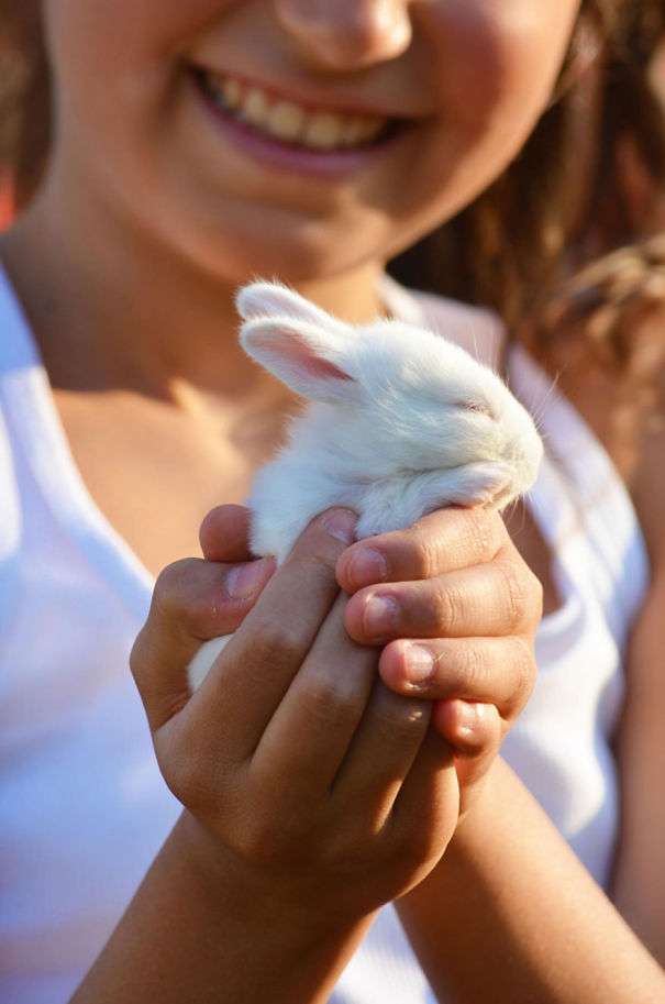 pictures of baby rabbits week 1 6