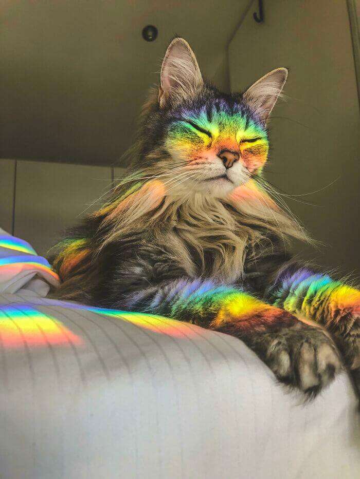 show me a picture of a rainbow