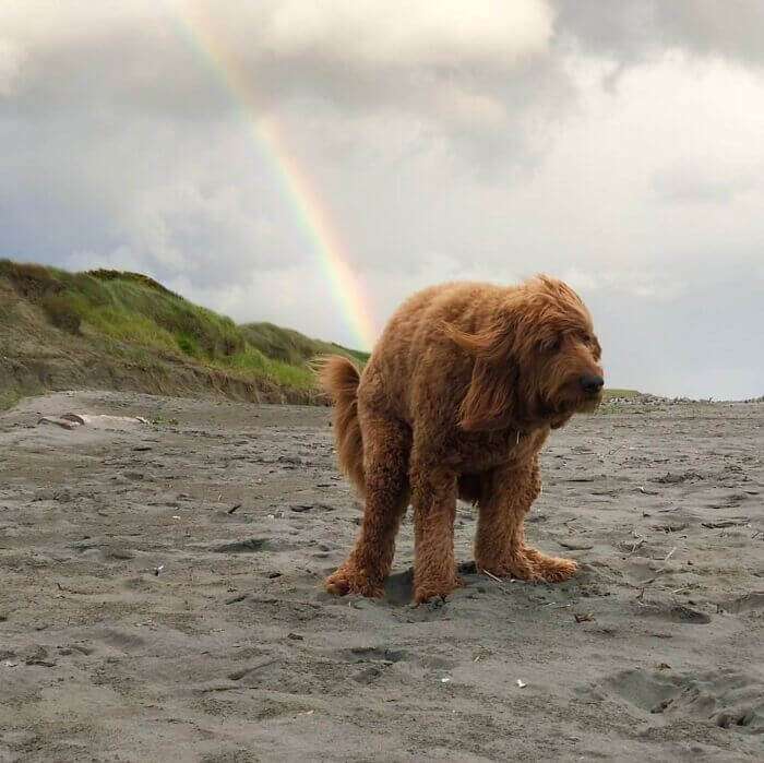 picture of rainbow