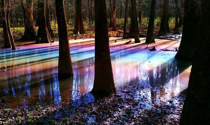 rainbow picture