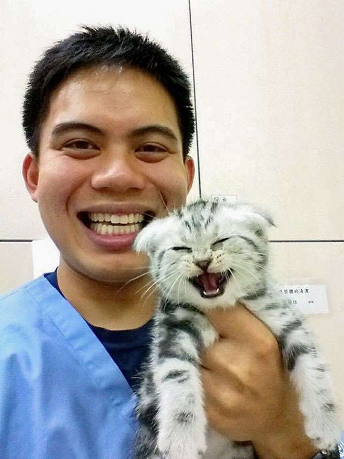 While my friend was in a vet internship in Taiwan, he took care of this cat and sent me some photos
