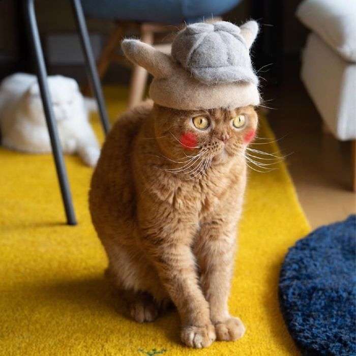 makes hats,cat hats,cat hat,japanese cat,cats with hats,cat hat,cat hats,cats in hats,hats for cats