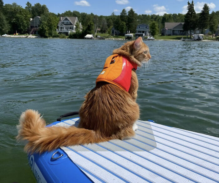 The sport of paddleboarding in Michigan