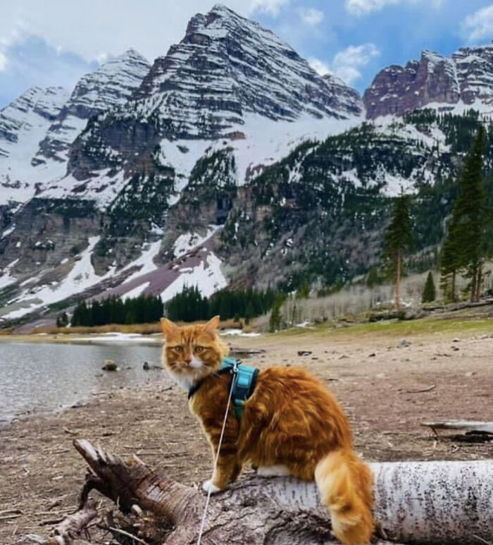 A hike in Colorado's Maroon Bells, Aspen