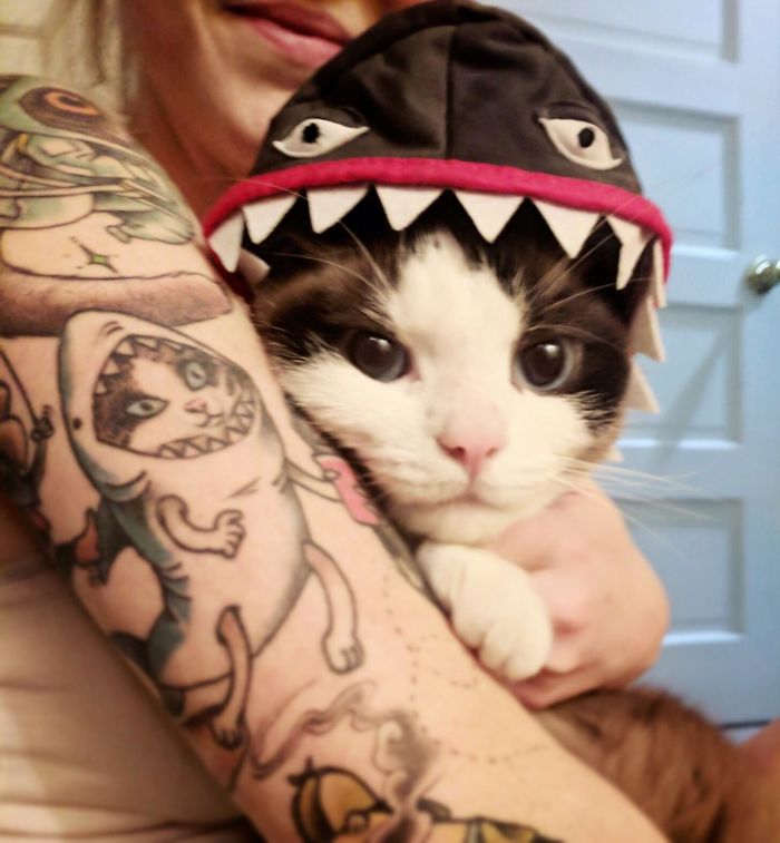 alley cat tattoo,fat cat tattoo,cat tattoos,black cat tattoo,simple hand tattoos,tattooed eyeballs