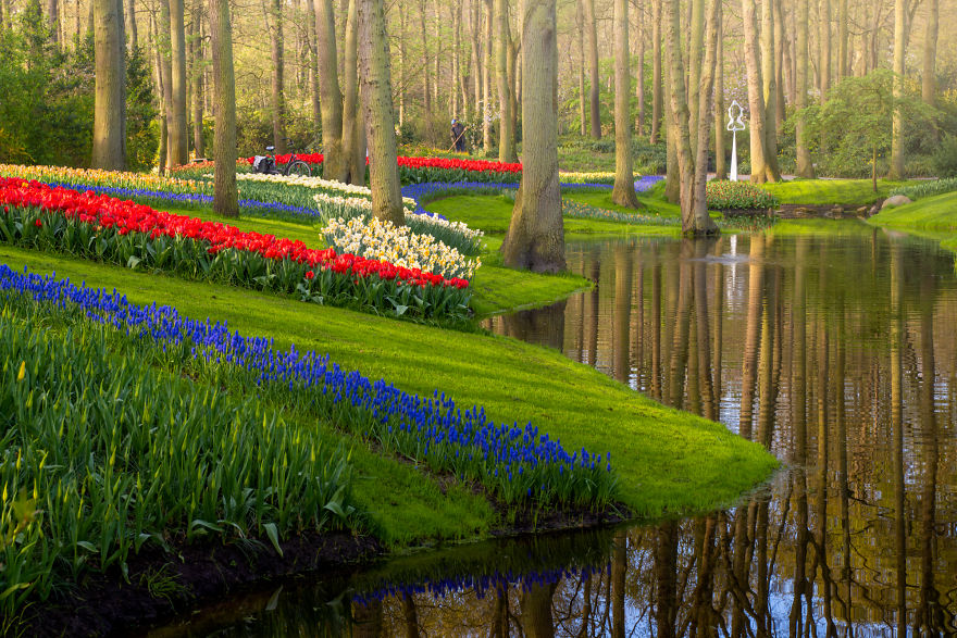 the keukenhof,longwood gardens tulips,keukenhof flower garden,keukenhof gardens tickets