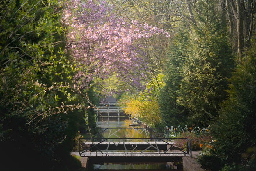 the keukenhof,longwood gardens tulips,keukenhof flower garden,keukenhof gardens tickets