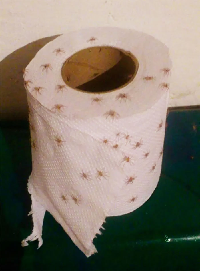 A toilet tissue roll that spotted in India