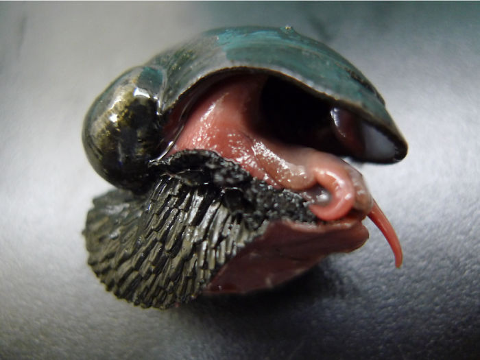 This scaly-foot snail ingests the toxic magma fumes of hydrothermal vents, and then it grows a coat of organic iron plates