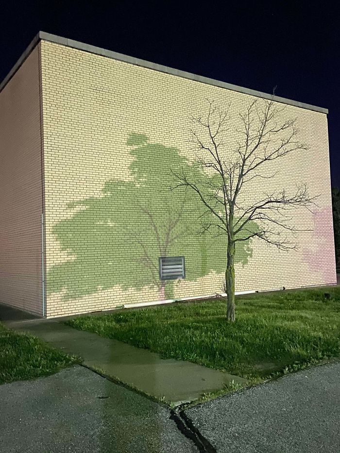 The shadow of the other tree completed the tree