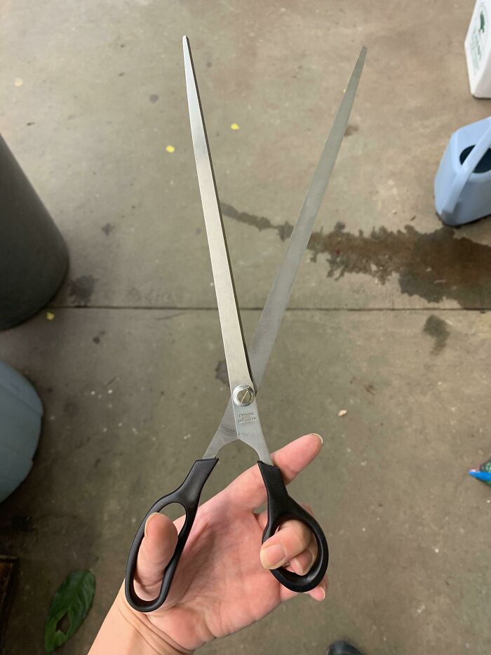 A long blade scissors for wrapping paper