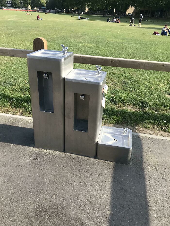 This park has different height water fountains for adults, kids and the tiny one is for dogs