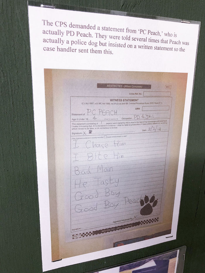 This police statement was spotted at an RAF museum in Cornwall