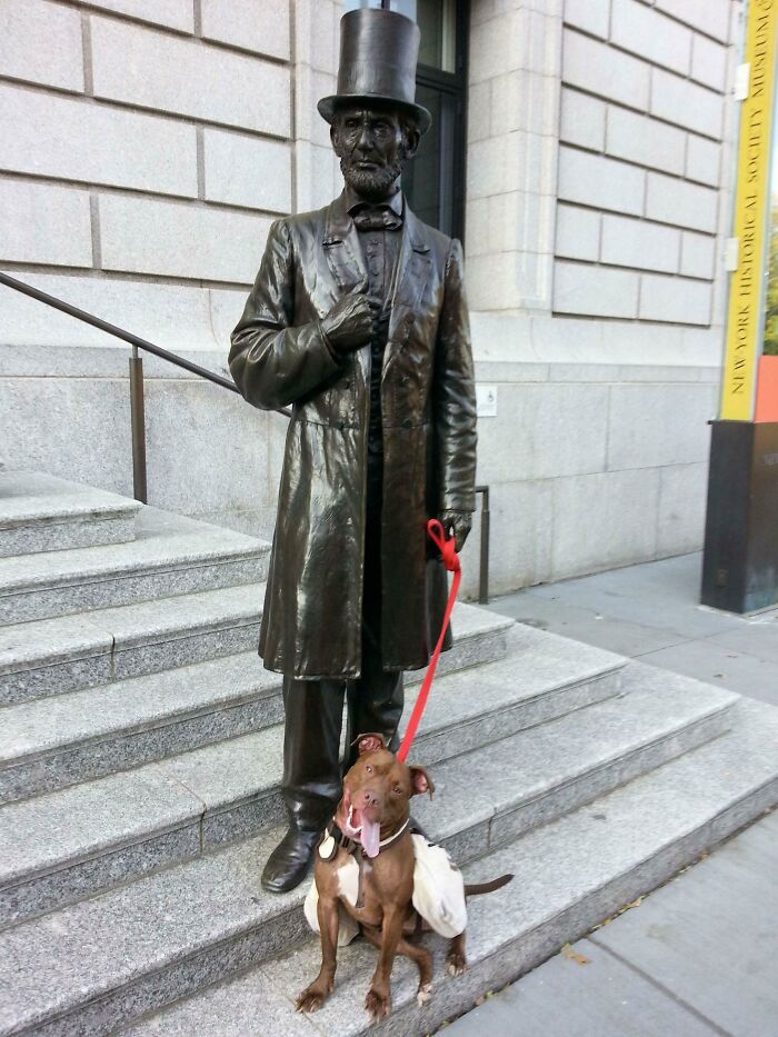 Abraham Lincoln walking a dog