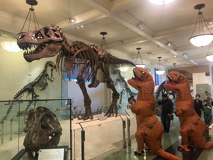 Decide to spend this Halloween at The Museum of Natural History