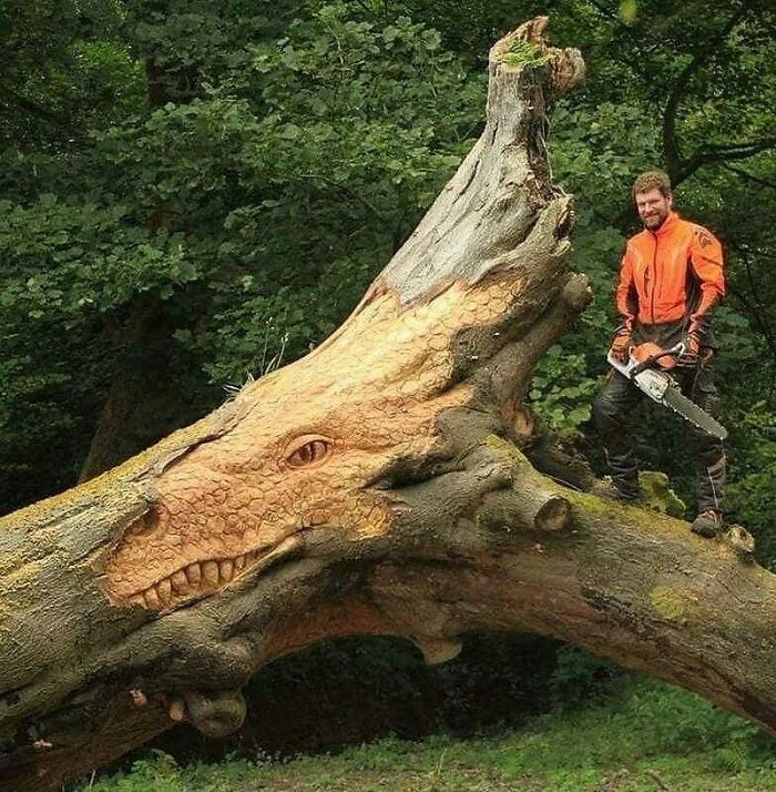 woodshop, fine woodworking