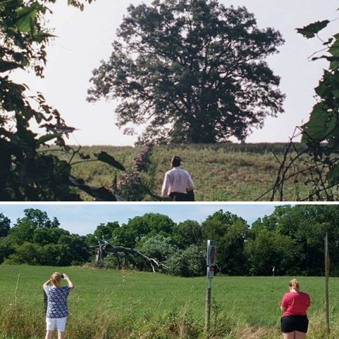 It was always my dream to go and visit this remarkable oak tree in the Shawshank redemption, but in late 2016, the tree fell in a thunderstorm