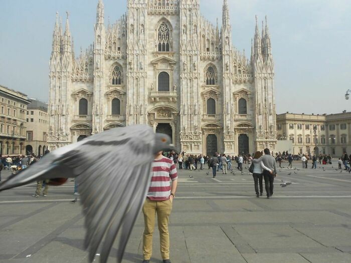 Got photobomb by a pigeon