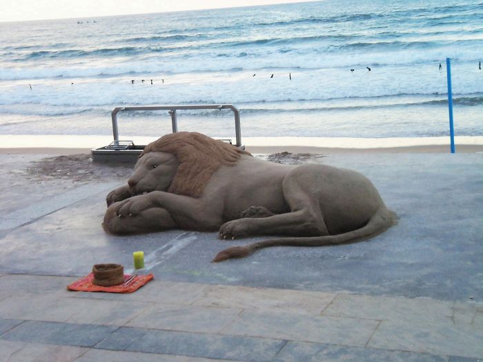 sleeping lion sand sculpture