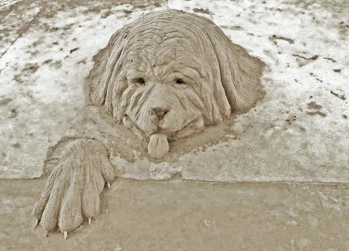 cute dog sand sculpture