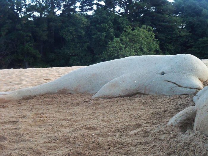 dolphin sand sculpture
