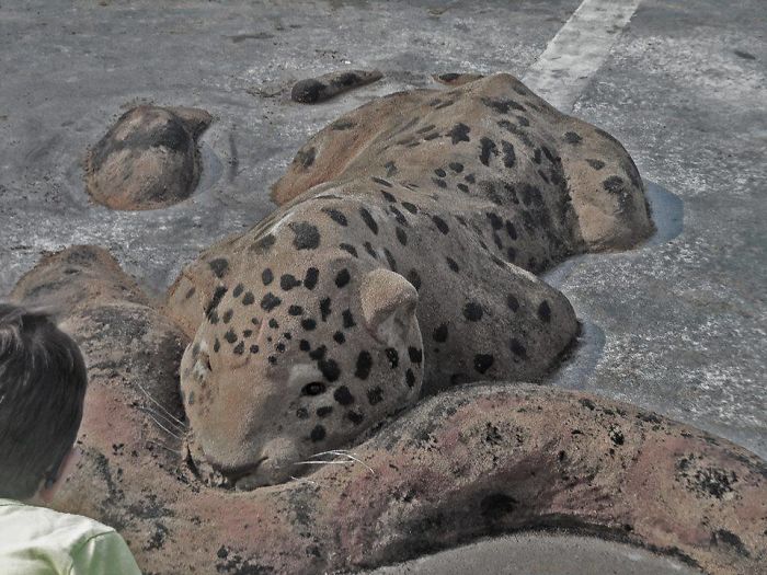 hiding tiger sand sculpture