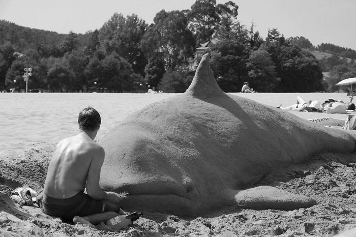 giant whale sand sculpture