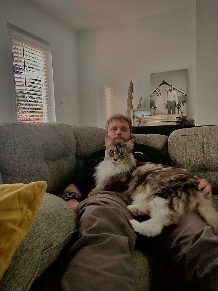 big cats as pets